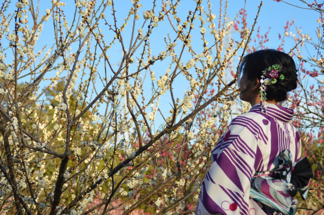 集まれ！きもの女子！